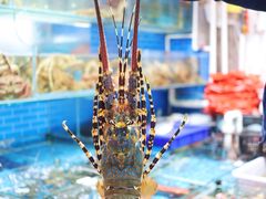 -船奇蒸汽海鲜·闽菜(八市海鲜总店)