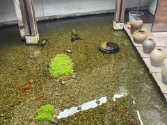 -几荷·恰似故人来(秀水广场店)