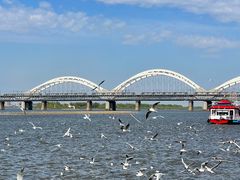 -人民防洪胜利纪念塔