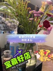 点击看大图 -玛莲朵·海菲秀冰珀科