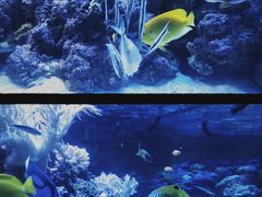 -长沙海底世界
