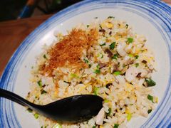 扬州炒饭-扬州狮子楼·非遗淮扬菜(东关街店)