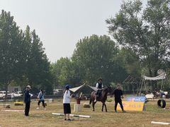 -上林马术中央公园·户外露营·团建·骑乘