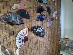 -楼上猫咖(罗湖店)