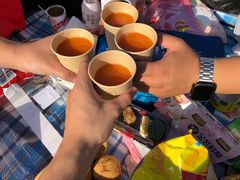 -春花秋色城市公园