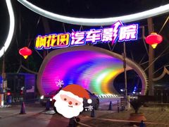 -枫花园汽车电影院(朝阳公园店)