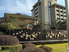-舟山朱家尖绿城威斯汀度假酒店