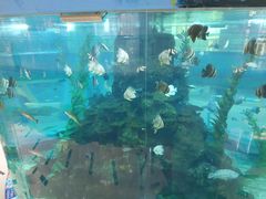 -鸿通城购物中心