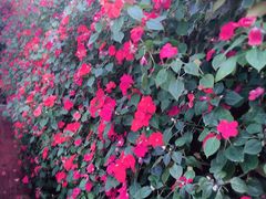 -傣妹火锅(狮子桥店)