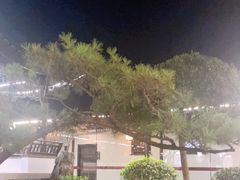 -碧丽宫大酒店(召稼楼店)