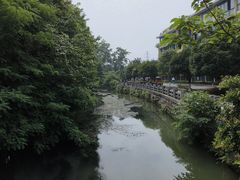 -桂湖森林公园