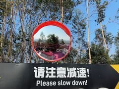-盈香心动乐园