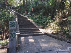-龙井村
