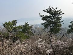-沈阳辉山风景区