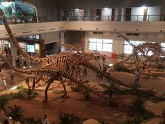 -自贡恐龙博物馆