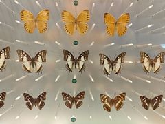 -陕西自然博物馆