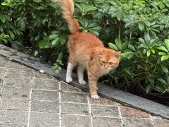 -晓港公园