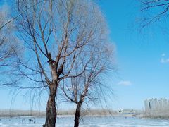-丁香湖公园
