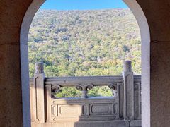 -灵谷景区
