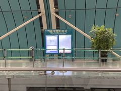 -龙阳路磁悬浮列车总站-停车场