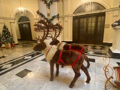 -Salon de Ville浦江汇(上海外滩华尔道夫酒店店)