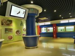 -上海昆虫博物馆