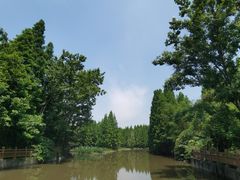 -桤木河湿地公园