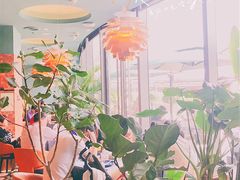 -星叶·东南亚料理(宁波万象汇店)
