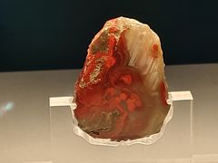 -北京大葆台遗址博物馆