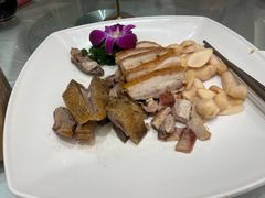 -龙悦湾酒家·八阵鱼生·渔人码头店