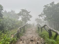 -梧桐山风景名胜区
