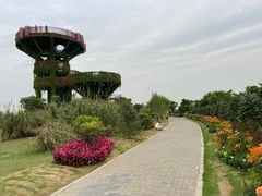 -芒洲湿地公园