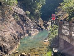 -广州白江湖森林公园