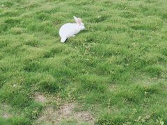 -食尚名肴自助涮烤