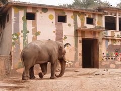 -宠物星动物医院·眼科·异宠·猫科(江南大道总院)