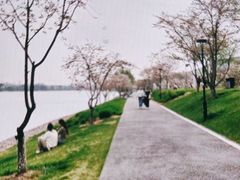 -羊山湖公园