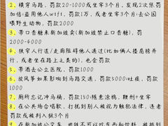 -圣淘沙天际线斜坡滑车