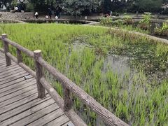 -成都市活水公园