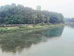 -四川大学(江安校区)