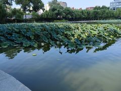 -中国农业博物馆