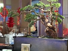 -苏帮袁Sue Cuisine(南开大悦城店)