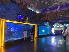 -烟台海昌鲸鲨海洋公园