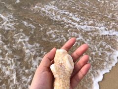 -三亚亚龙湾美高梅度假酒店Fun动冲浪