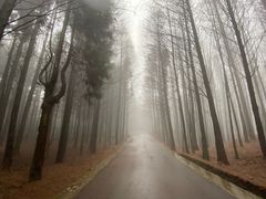 -山王坪喀斯特国家生态公园