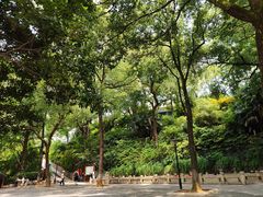-白沙古井