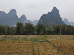 -明仕田园