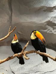 -Zoolung Zoolung动物主题公园(海信广场店)