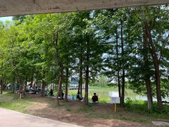 -白鹭湾湿地公园