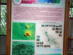 -海口火山口国家地质公园