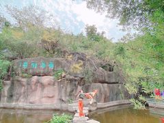 -深圳国际园林花卉博览园